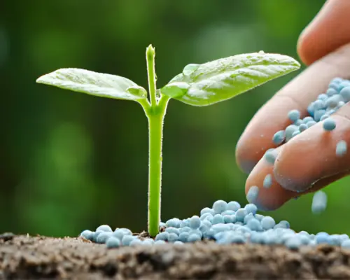 Fertilizer Industry